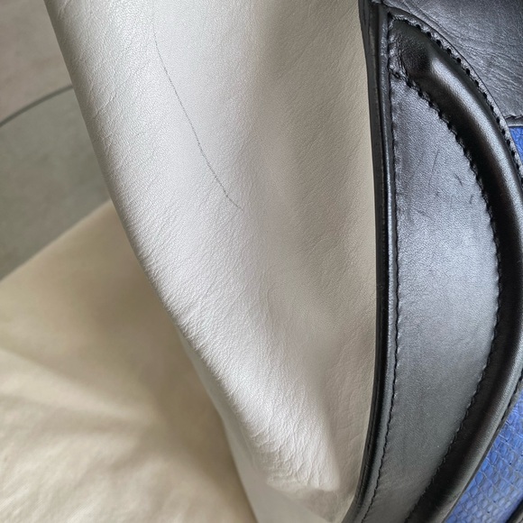 Celine Royal Blue Python Tricolor Mini Luggage Tote - Picture 5 of 14